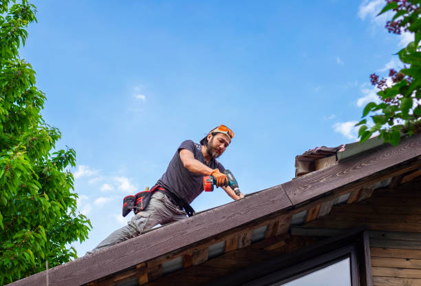 Best Rubber Roofing (EPDM, TPO)  in Dixmoor, IL