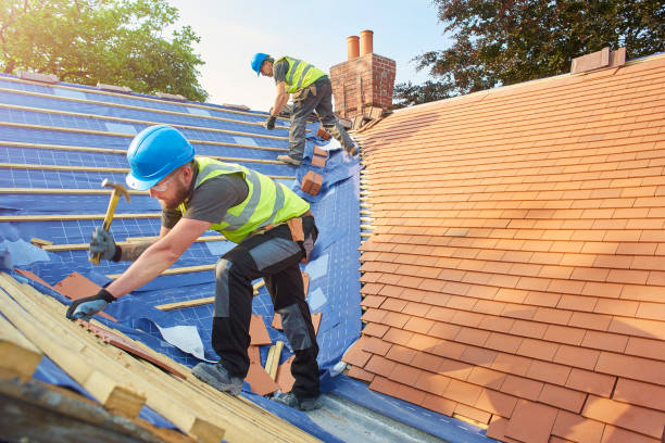 Best Roof Insulation Installation  in Dixmoor, IL